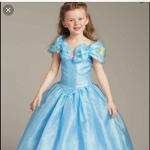 Chasing Fireflies Cinderella Ballgown